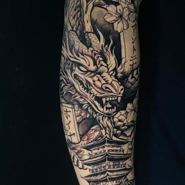 Brazo